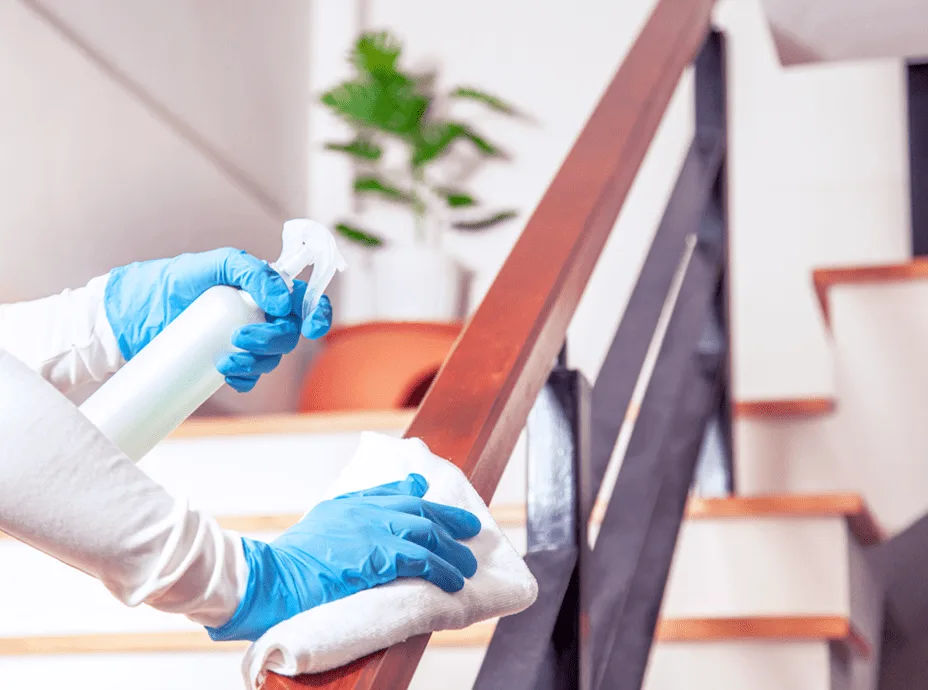 Deep Cleaning